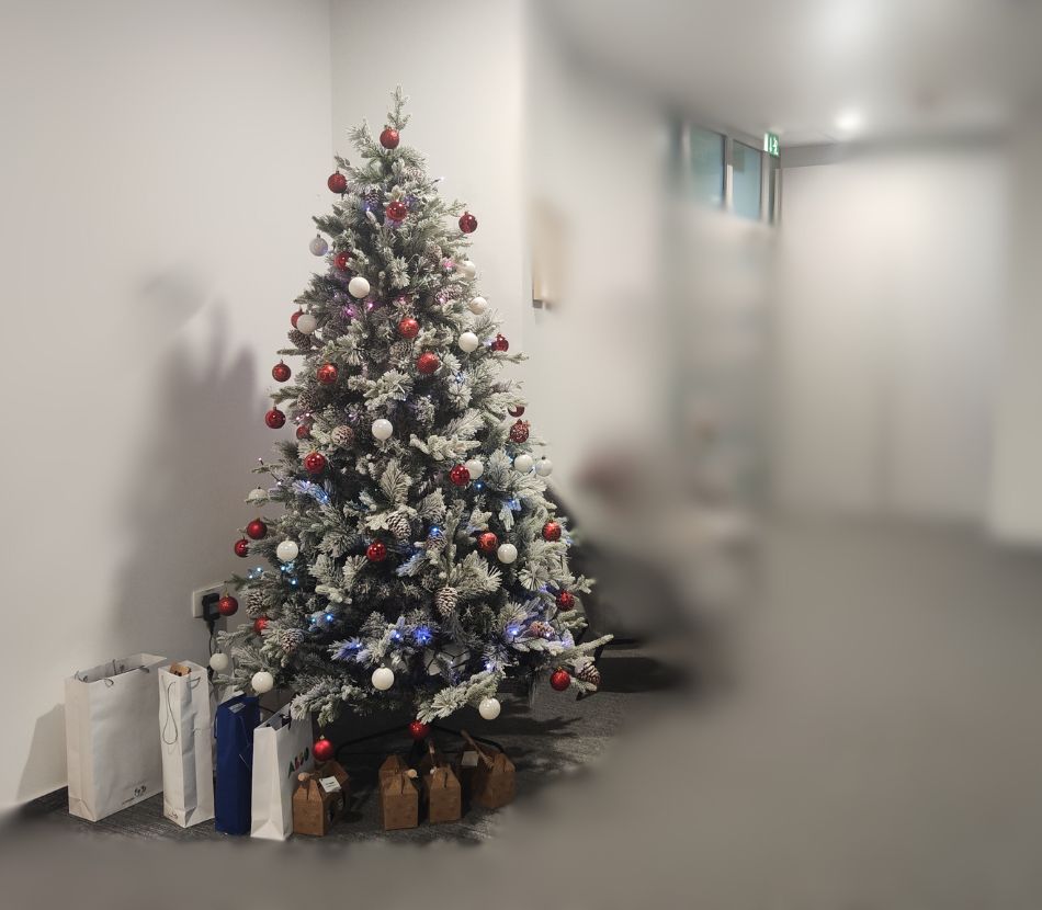 December je mesec odprtih vrat!